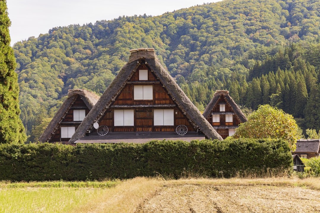 Shirakawa-go evleri