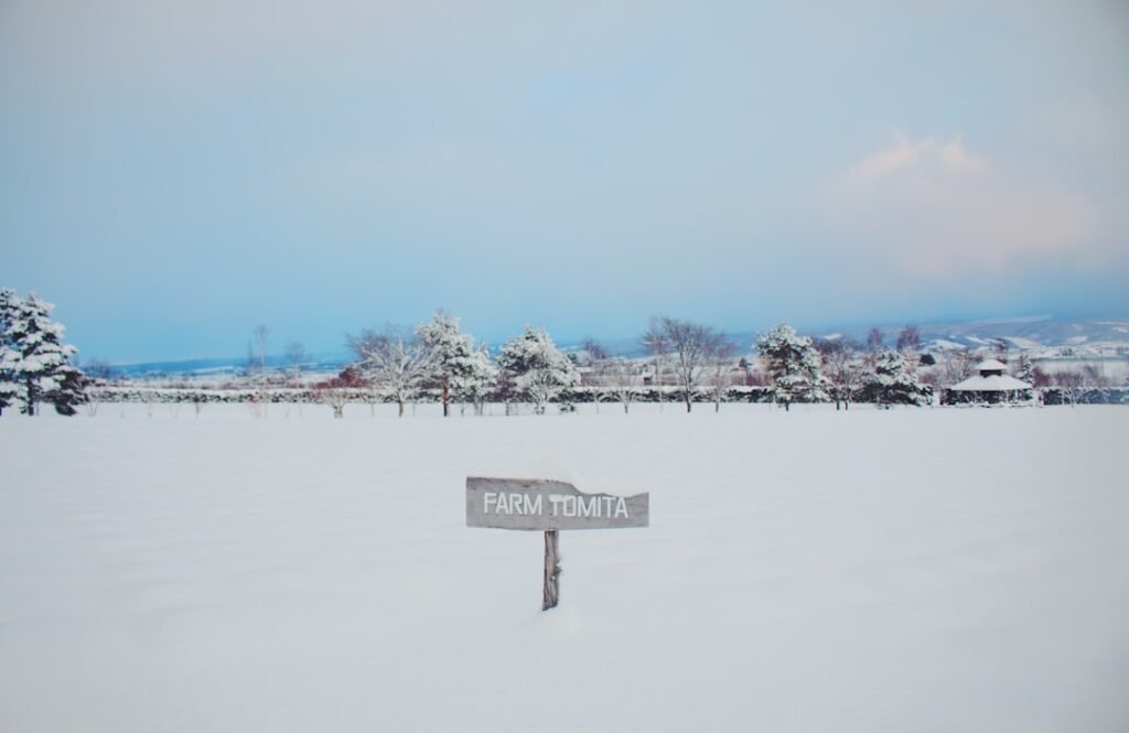 Hokkaido kış manzarası, karla kaplı ağaçlar