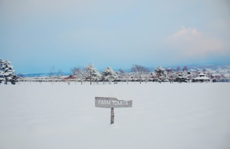 Hokkaido kış manzarası