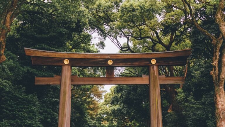 Ormanla çevrili ahşap torii kapısı