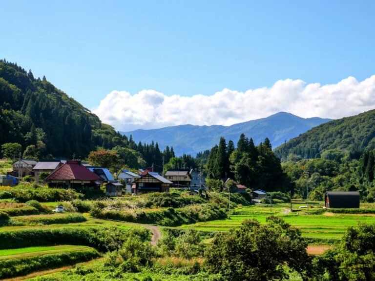Shikoku vadisi