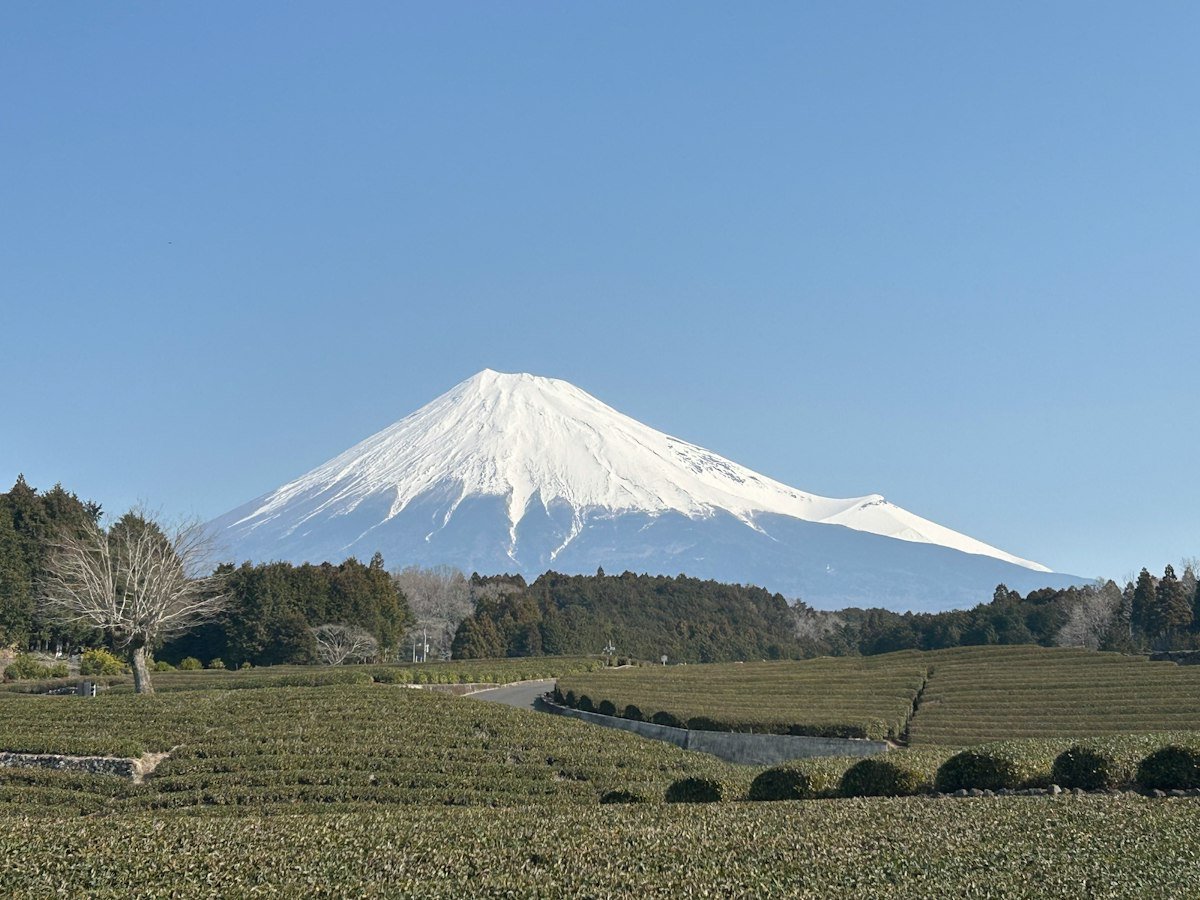 Fuji Dağı eteklerinde geniş bir tarla manzarası