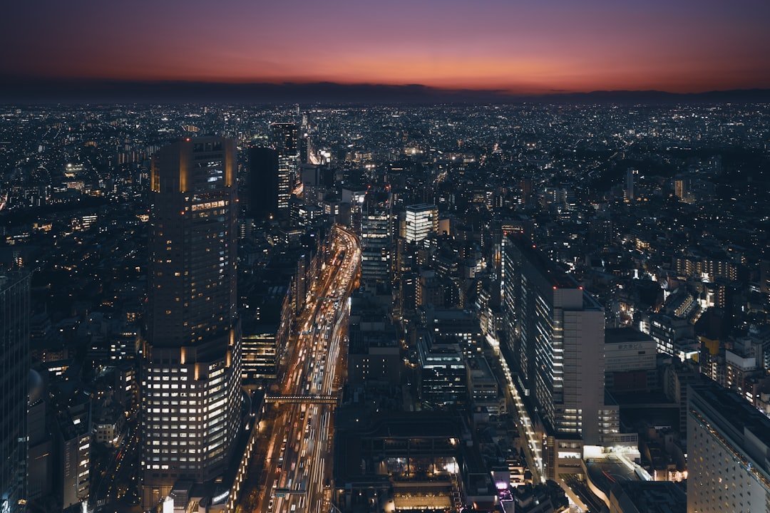 Tokyo'nun gökdelenlerle dolu gece silüeti