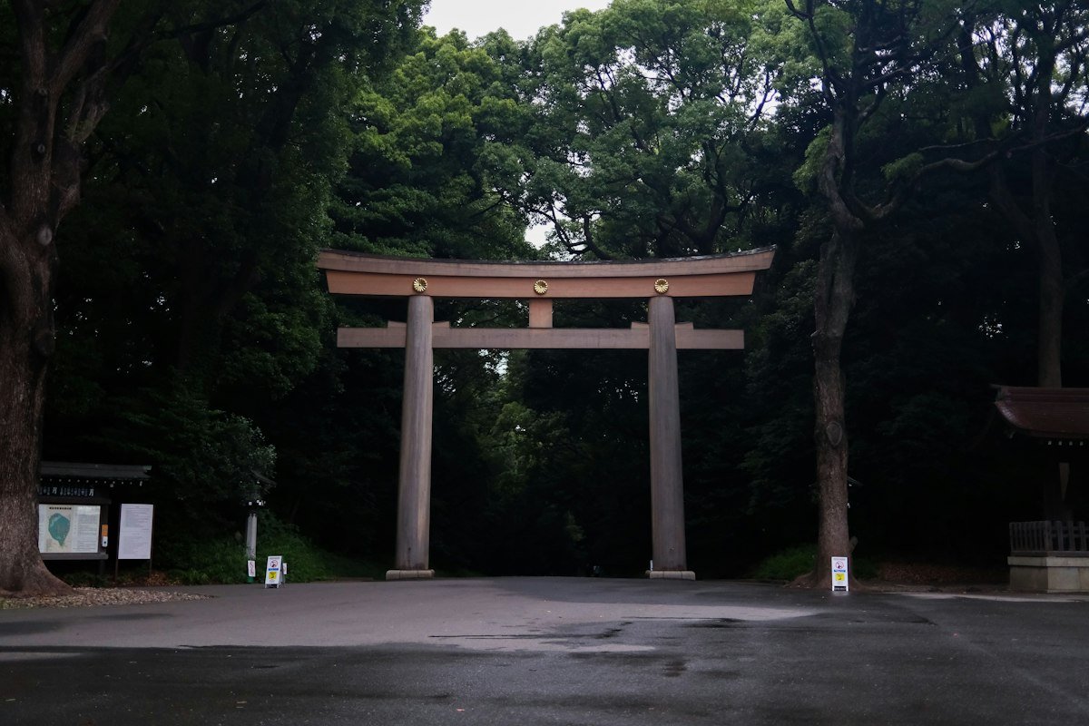 Meiji Jingu Tapınağı'nın ormanla çevrili torii kapısı