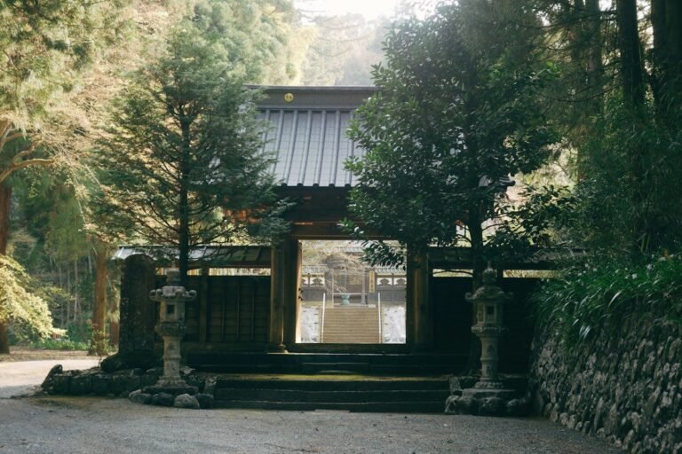 Ormanda taş kapılı bir Japon tapınağı
