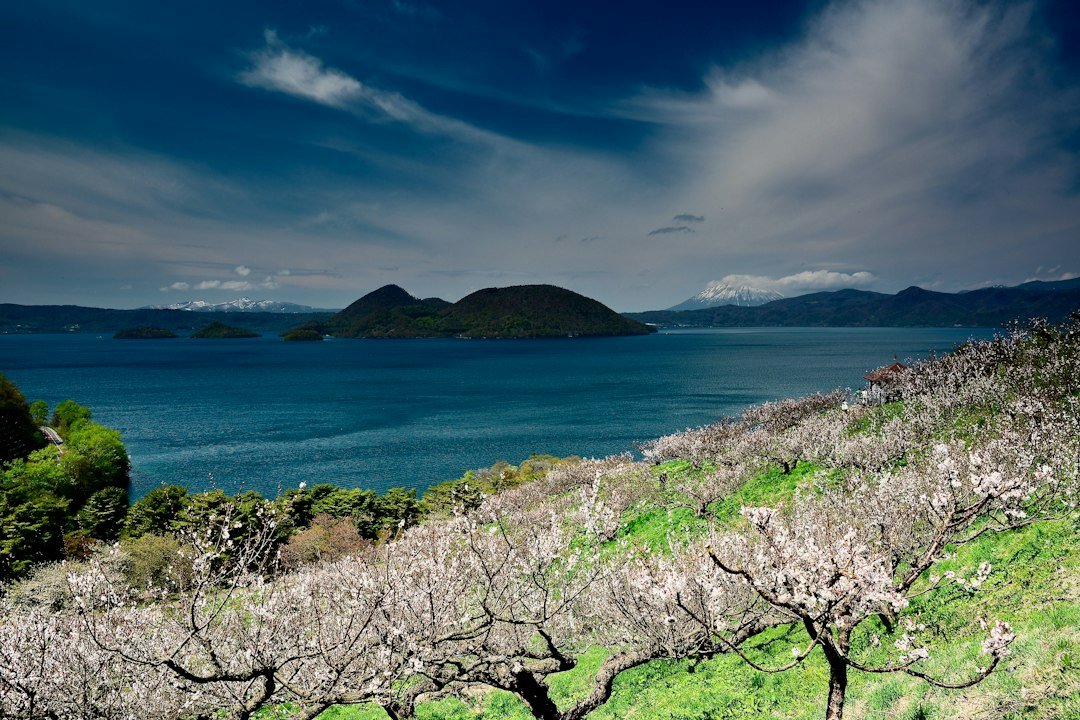 Çiçek açmış erik ağaçlarının arasından Toya Gölü ve Yotei Dağı, Hokkaido