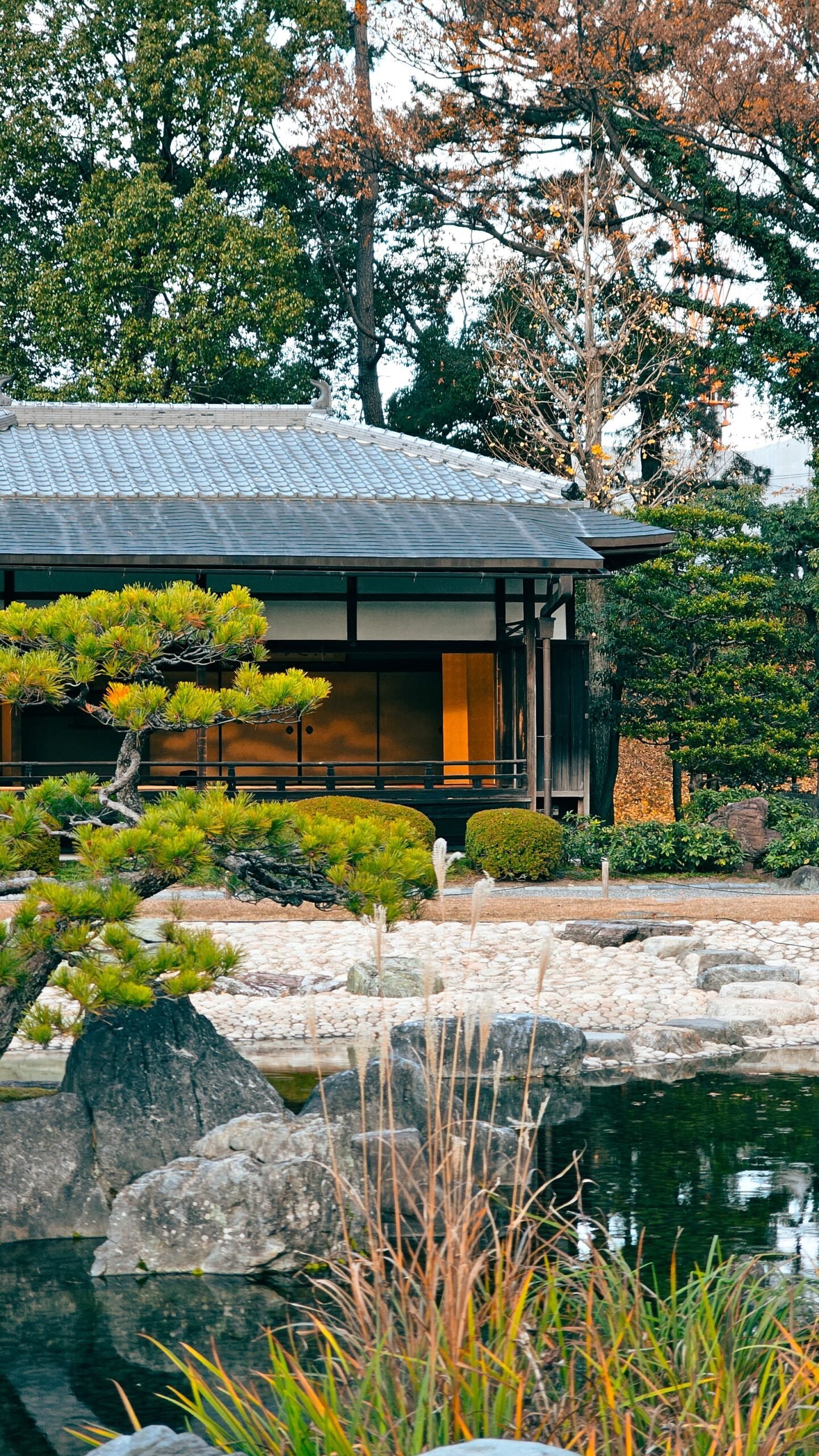 Japon estetiği: su ve yeşillikle düzenlenmiş sakin bahçe