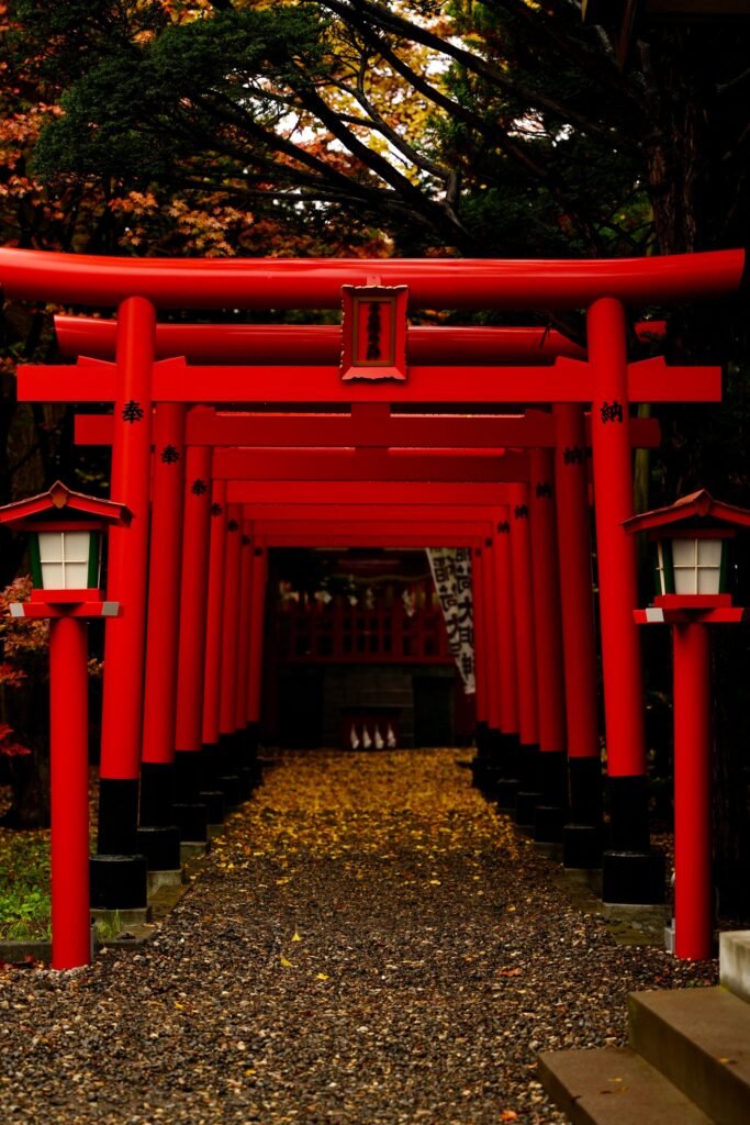 Orman içindeki kırmızı Şinto torii kapıları