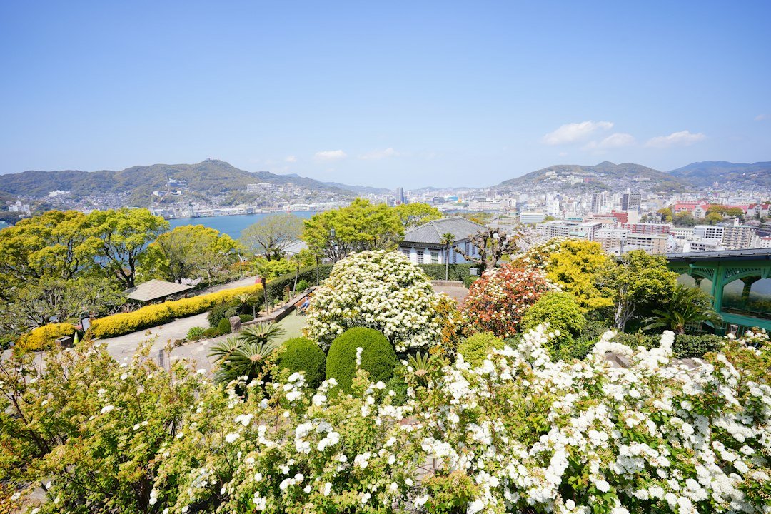 Nagasaki'nin liman ve şehir panoraması