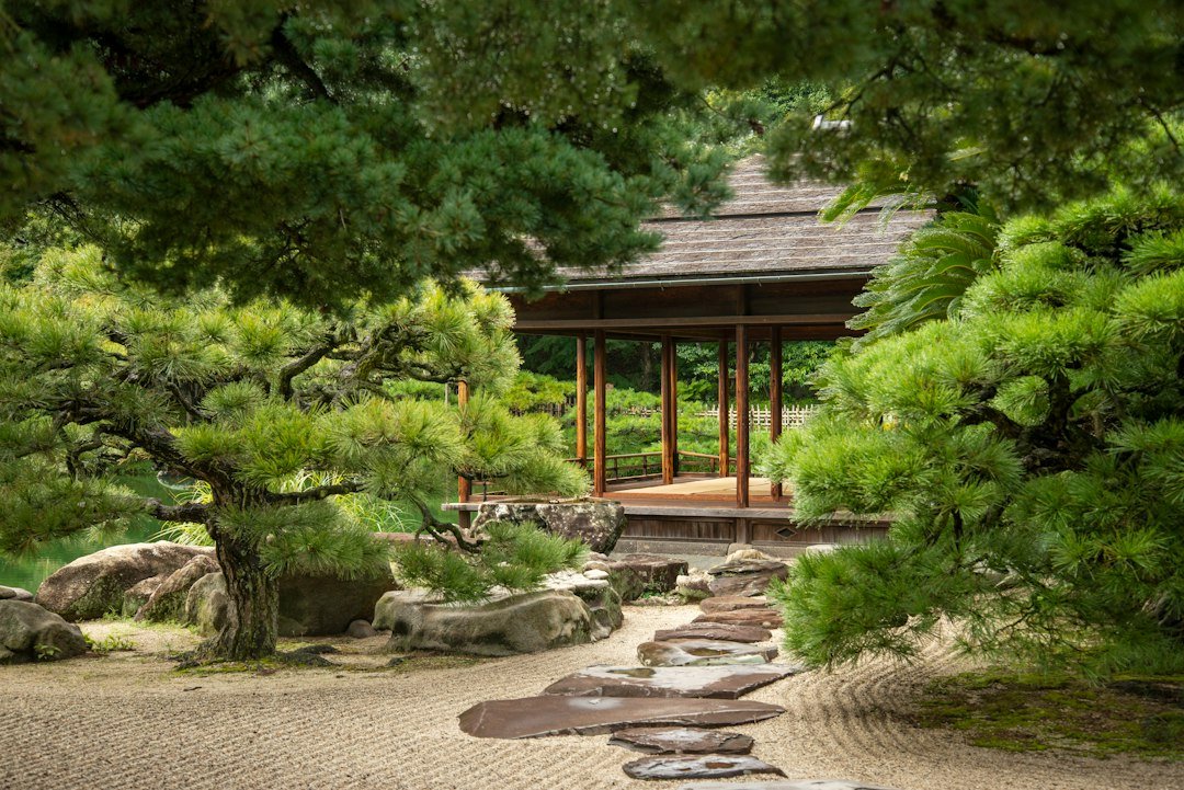Çam ağaçları ve taş patikayla çevrili geleneksel bir Japon bahçesi köşkü
