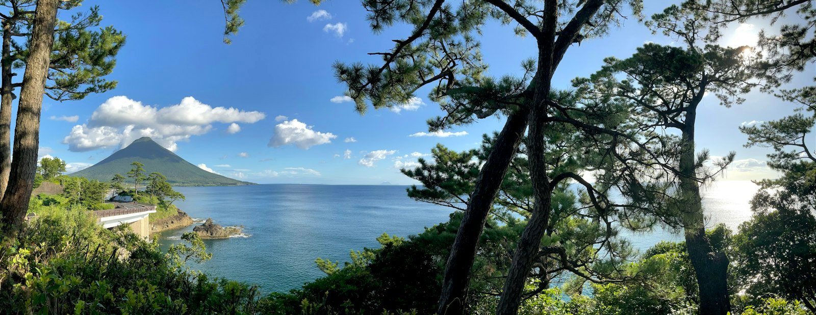 Körfezin karşısında Sakurajima'nın göründüğü bahçe