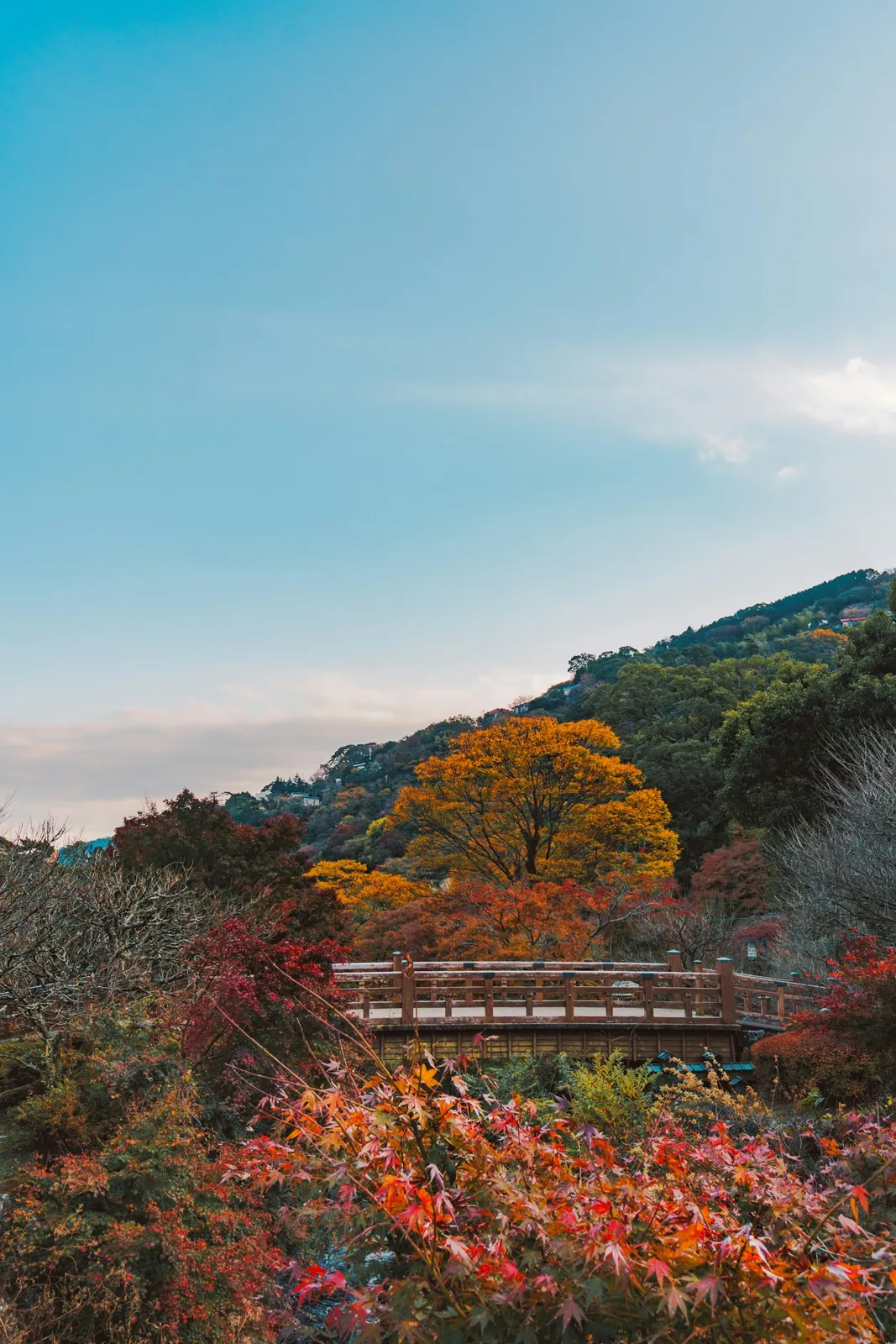 Atami Baien'de sonbahar renkleri içinde köprü ve dere