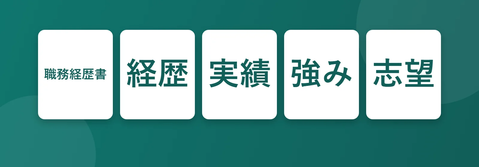 Shokumu keirekisho: 職務経歴書, 経歴, 実績