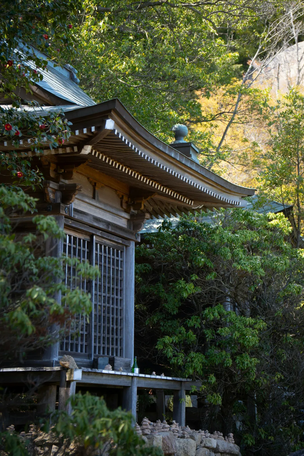 Miyajima'da ormanın içinde ahşap bir tapınak binası