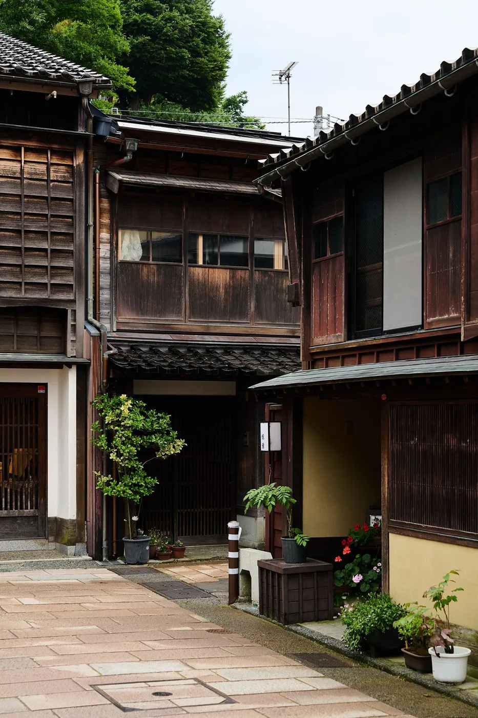 Kanazawa'da geleneksel ahşap evlerle sıralı bir sokak