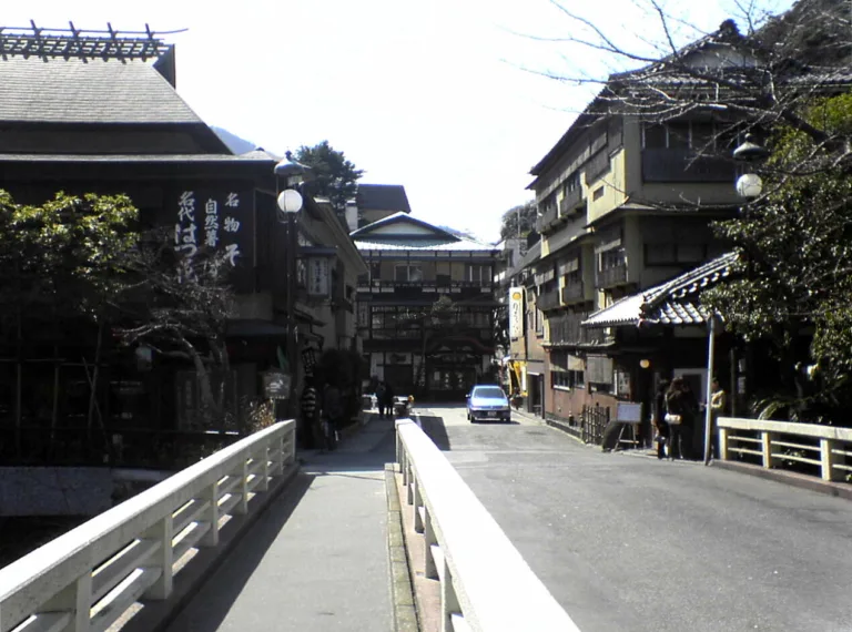 Hakone Yuryo Günübirlik Onsen
