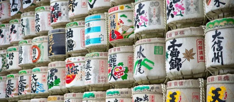 Fushimi Sake Bölgesi Tadımı