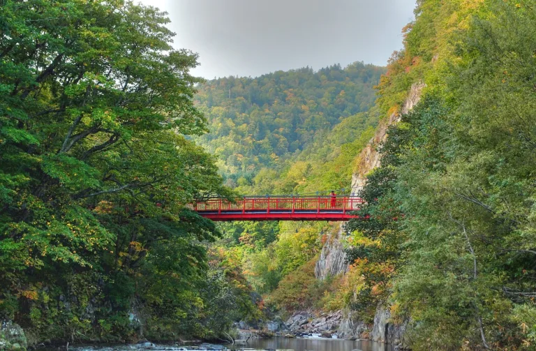 Jozankei Onsen Günübirlik