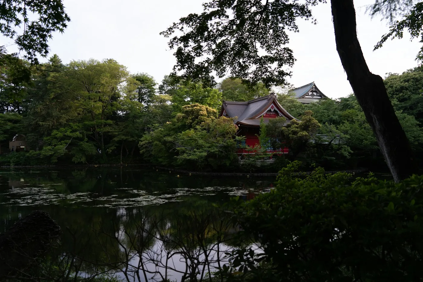 Inokashira Parkı'nda Benzaiten tapınağının kırmızı çatısı