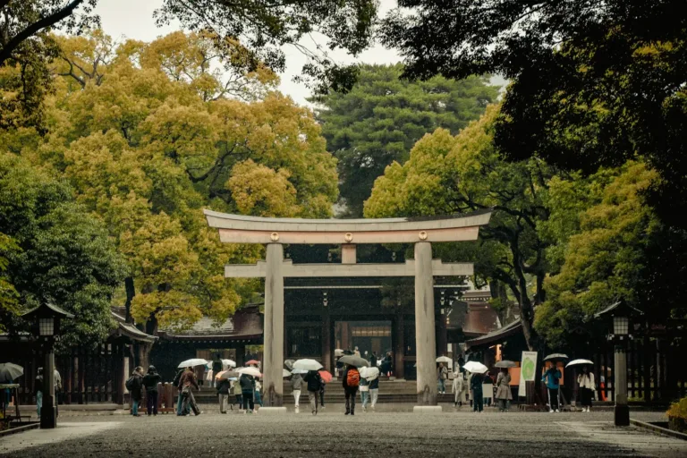 Meiji Jingu & Harajuku