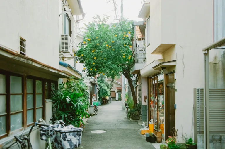 Nakazakicho Retro Kafeleri