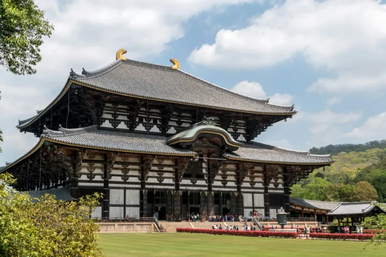 Nara Parkı & Todai-ji