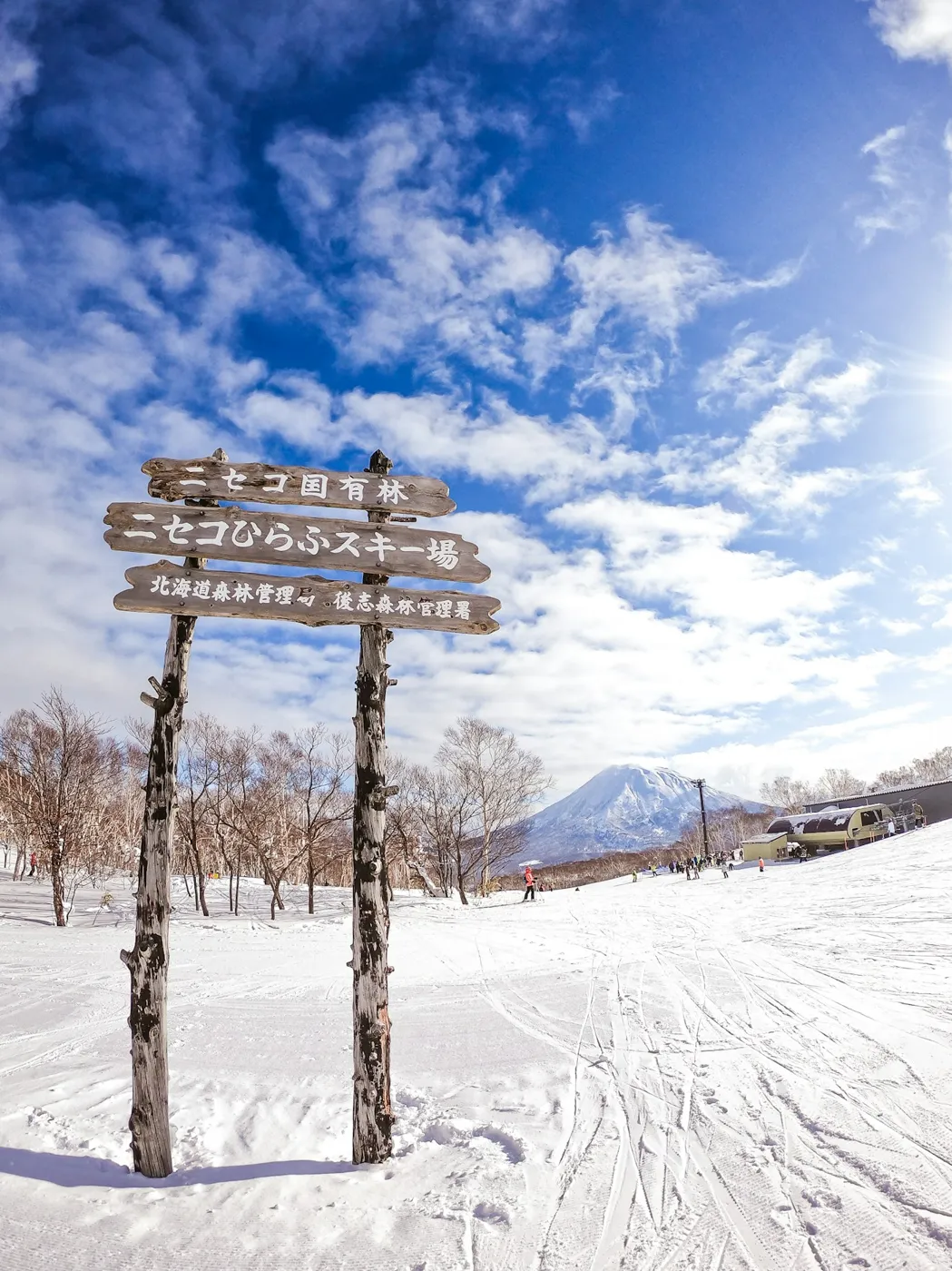Niseko Hirafu yönlendirme tabelası ve uzakta Yotei Dağı