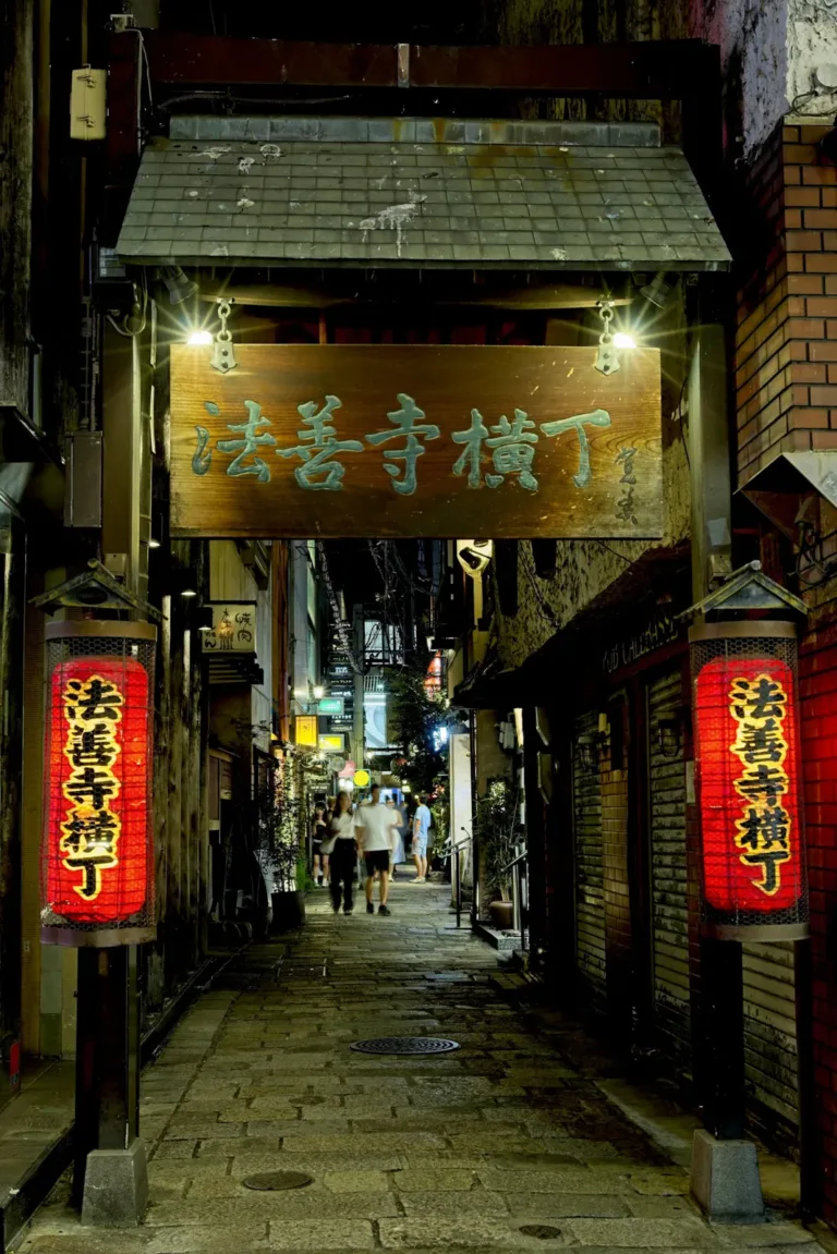Hozenji Yokocho Akşamı