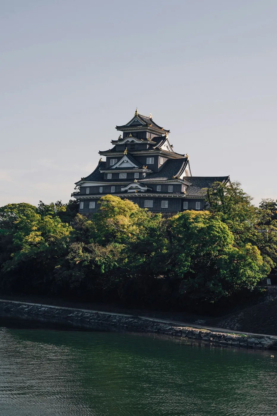 Okayama Kalesi nehir kıyısındaki ağaçların üstünde