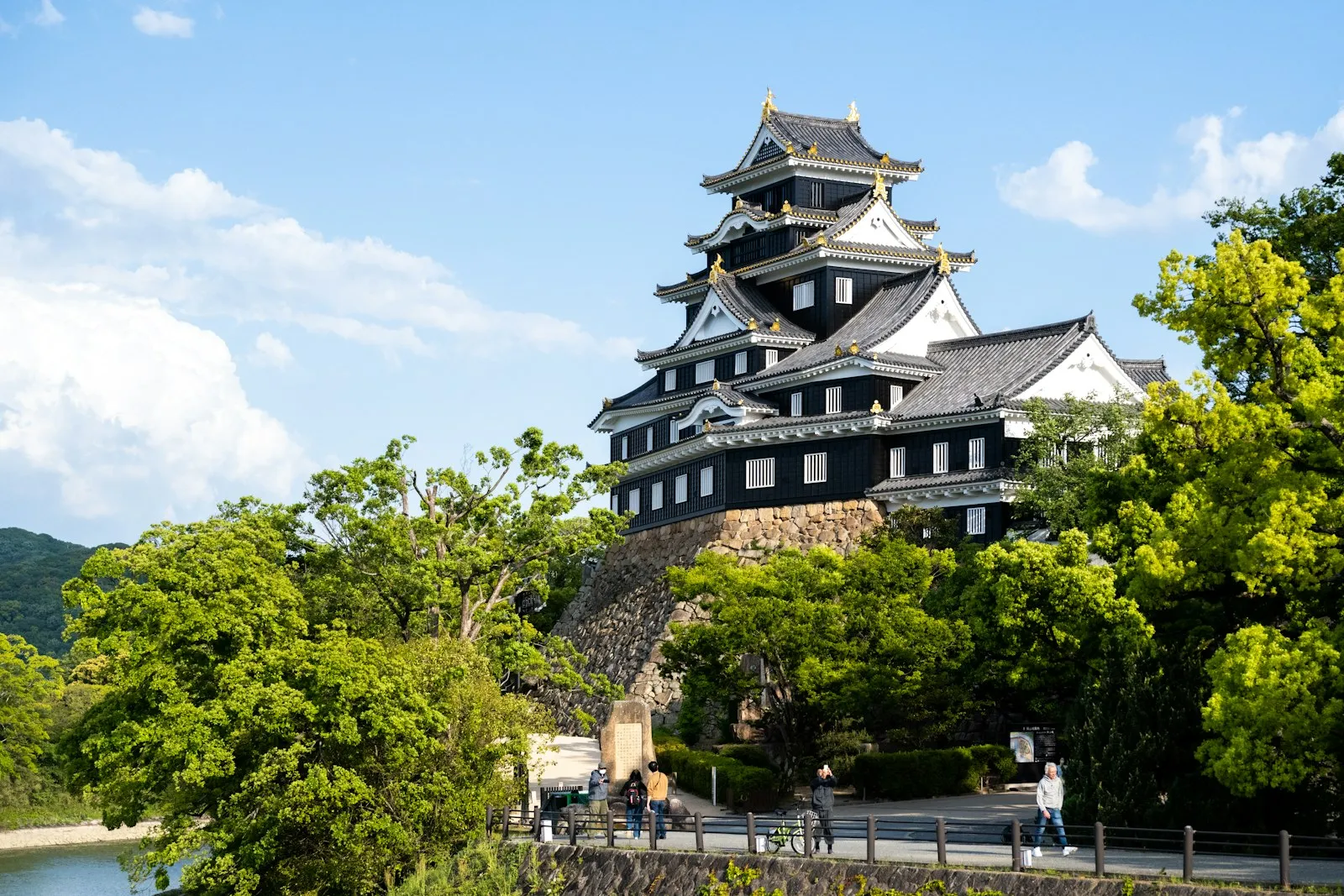 Okayama Kalesi'nin siyah ana kulesi yaz yeşilliği arasında