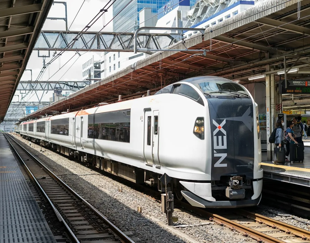 Peronda bekleyen Narita Express treni
