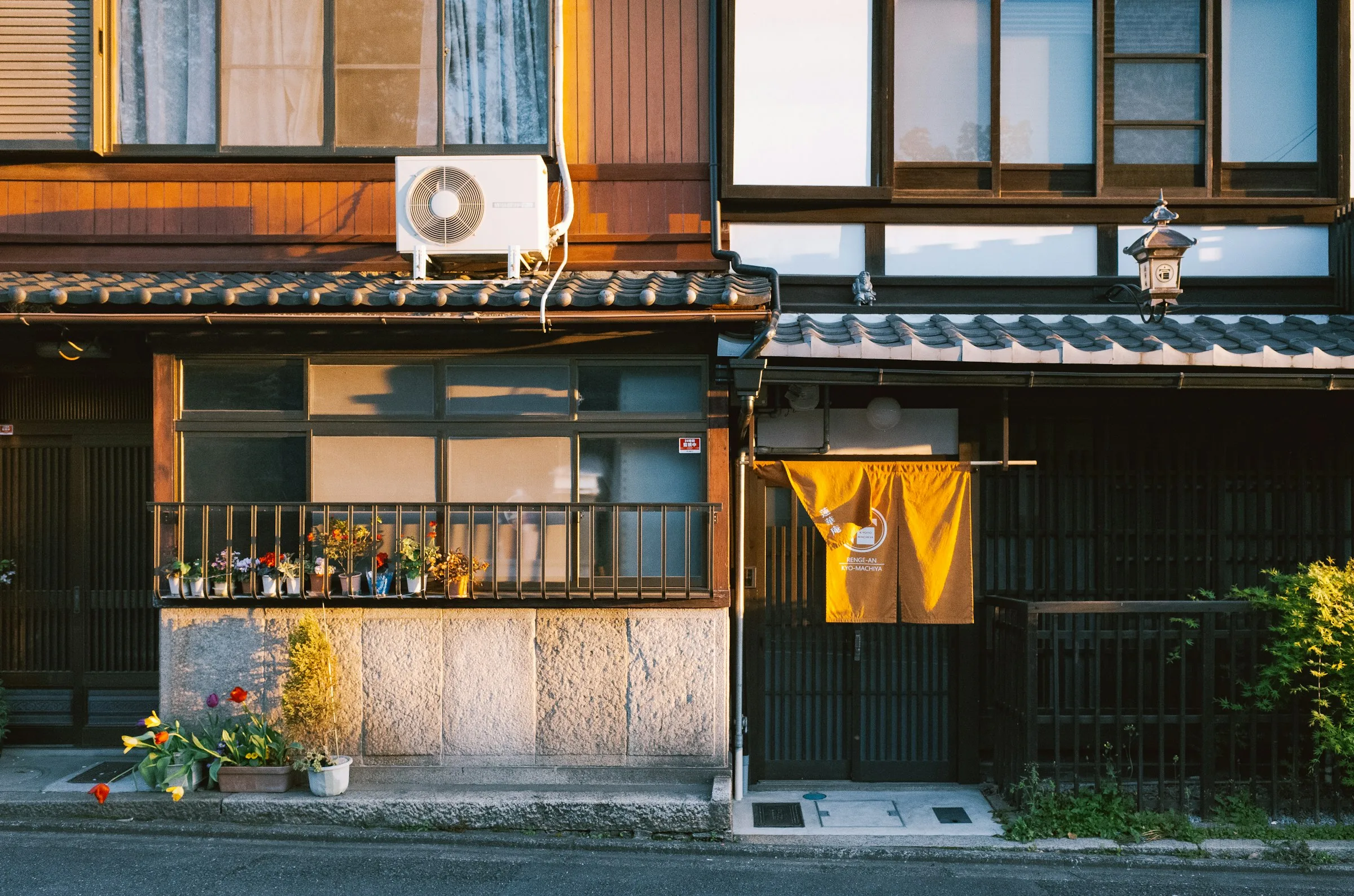 Sarı noren perdeli, önü saksılarla dolu iki ahşap Japon evi