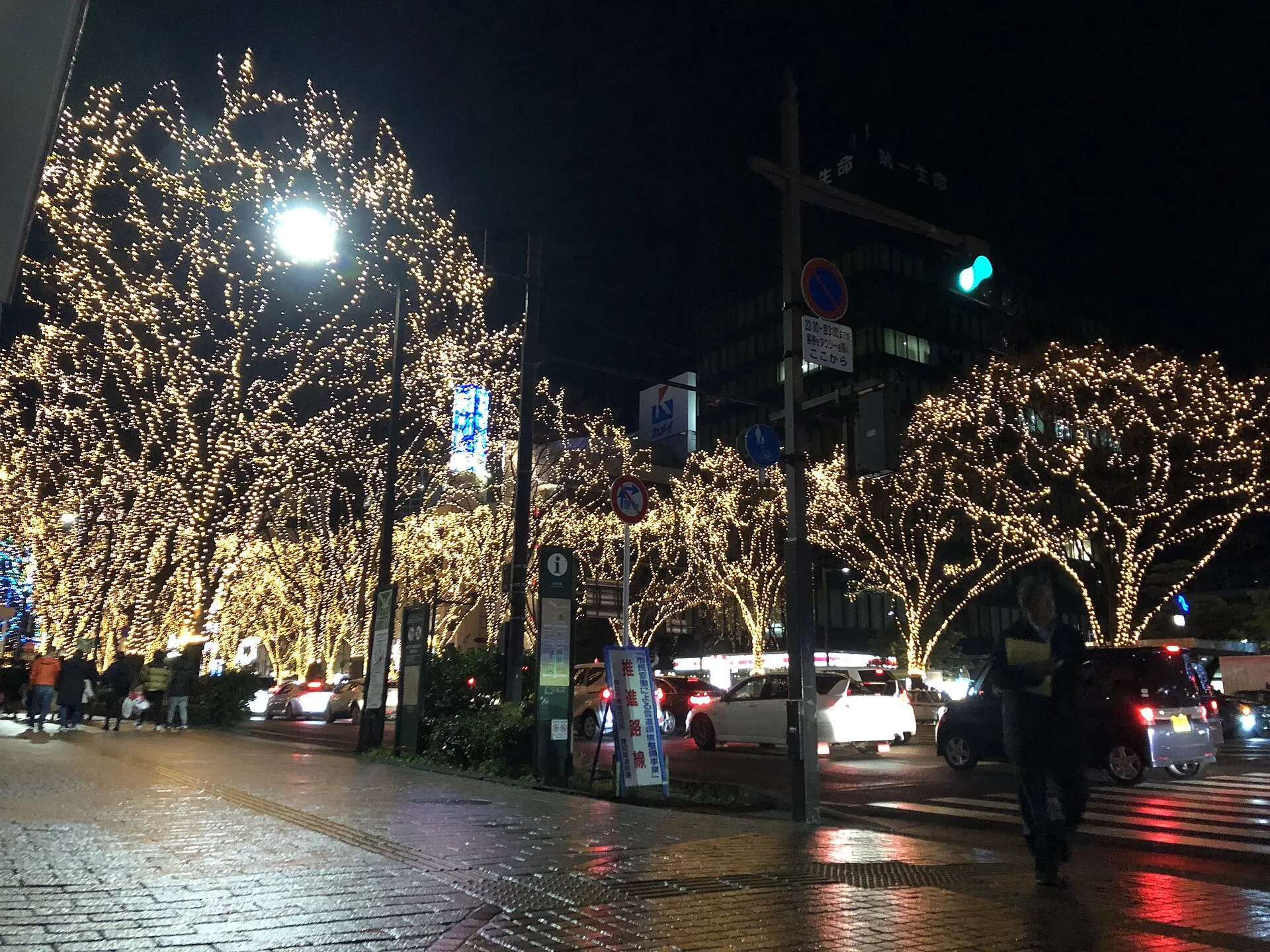 Sendai Işık Şöleni & Tanabata