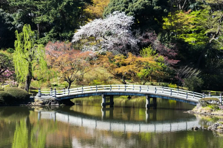 Shinjuku Gyoen Bahçesi