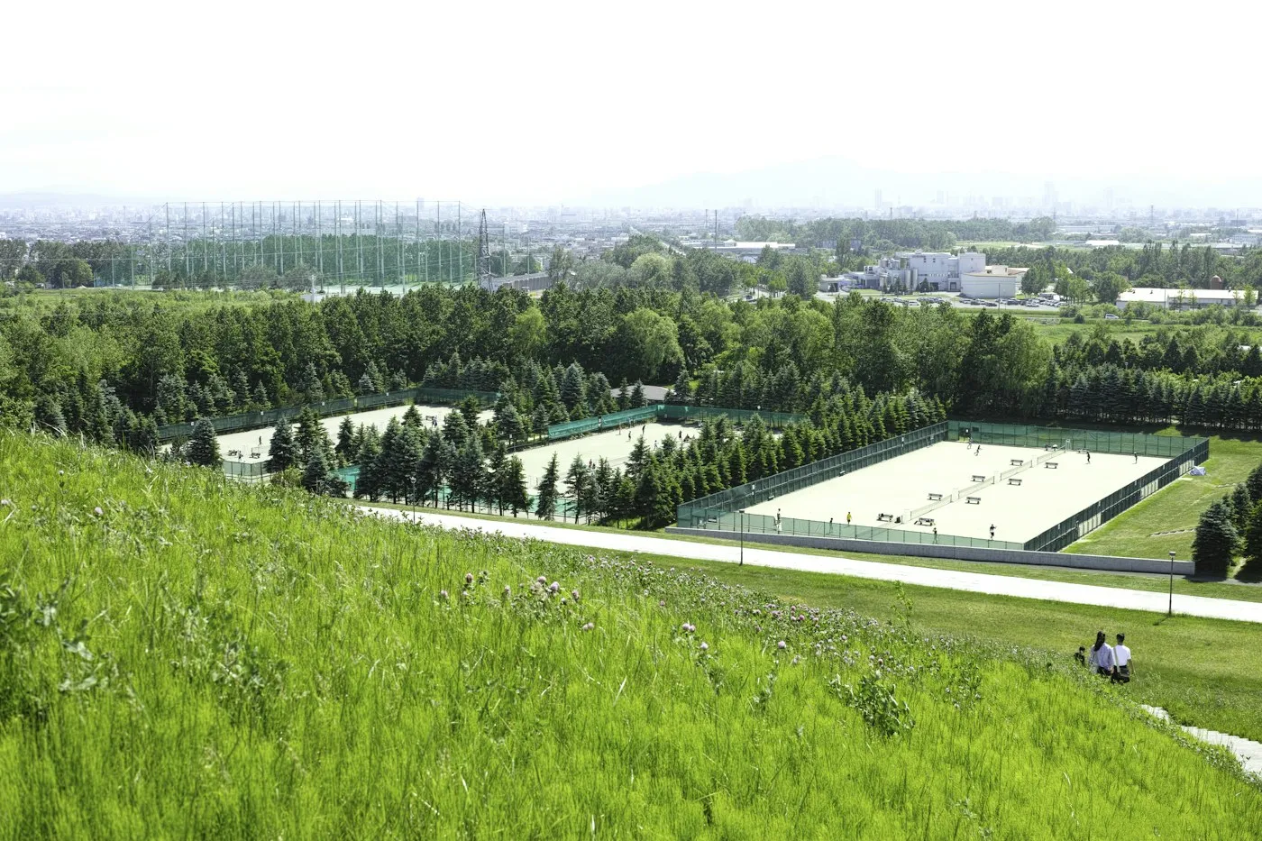 Park çimenliği ve uzaktaki şehir manzarası