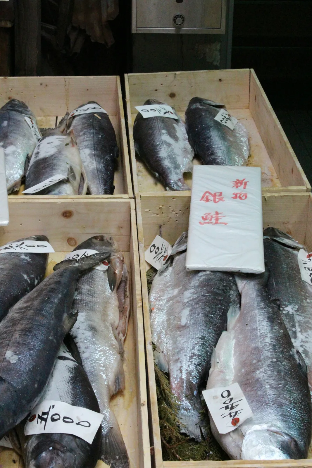 Tsukiji'de kutularda balıklar