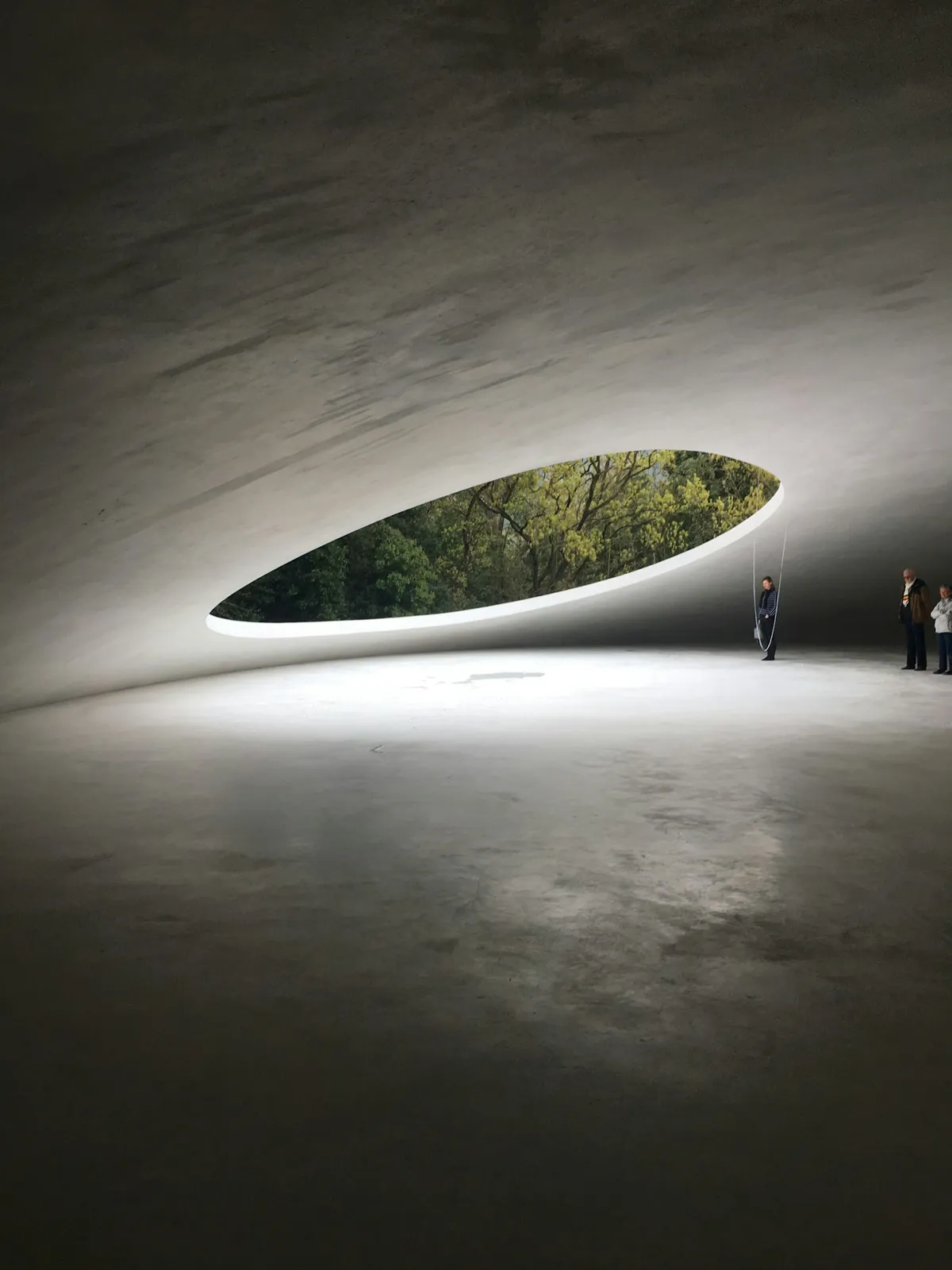 Teshima Sanat Müzesi'nin oval açıklığından görülen ağaçlar