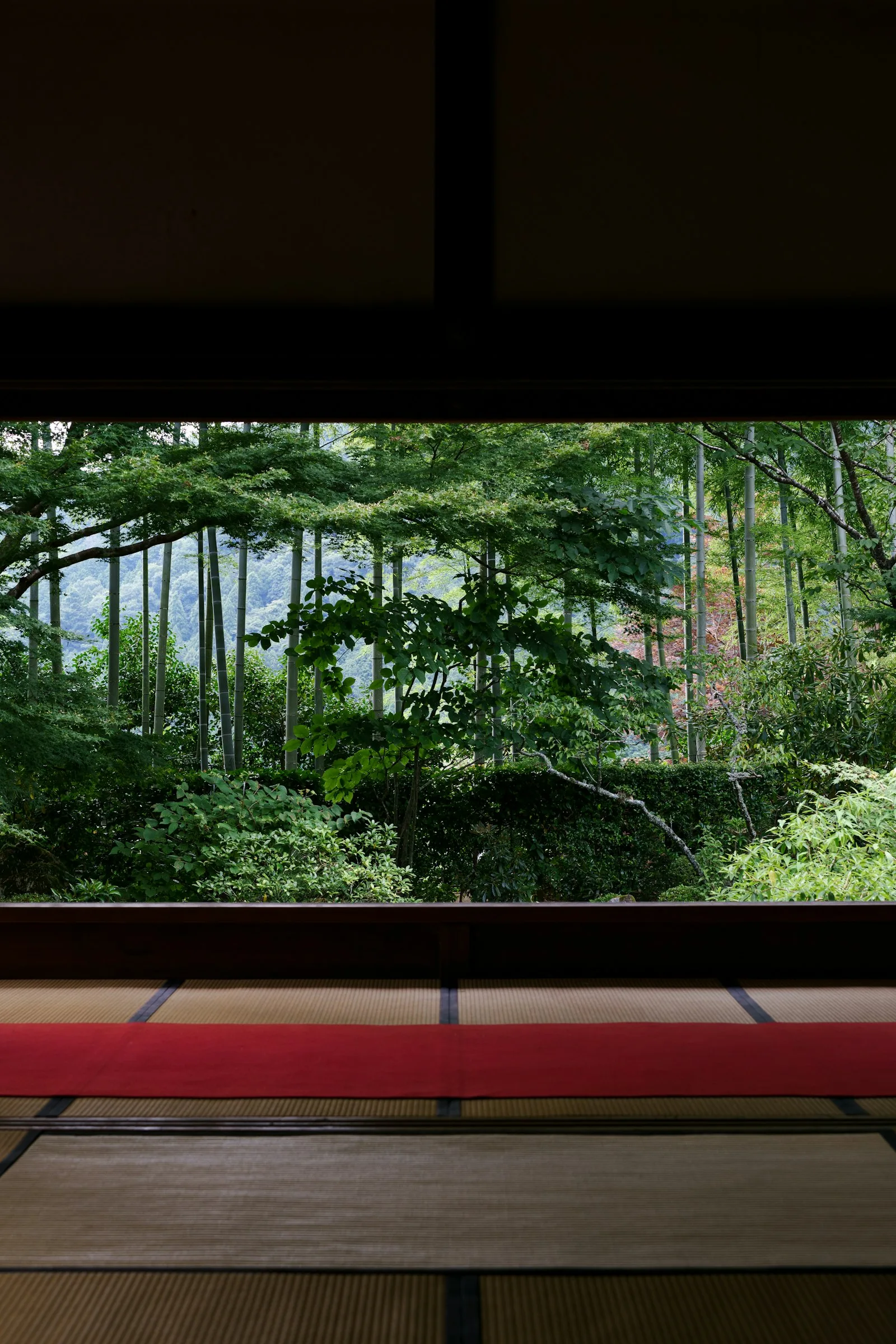 Yeşil bambu ormanına bakan geleneksel tatami odalı Japon otel odası